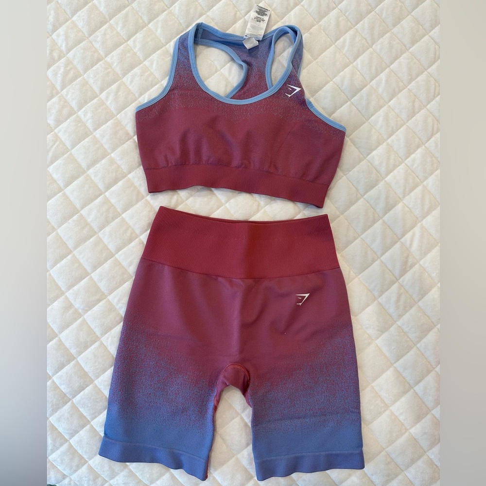 Gym shark set